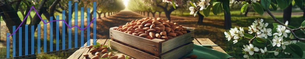 Agora Vista Bottom Banner